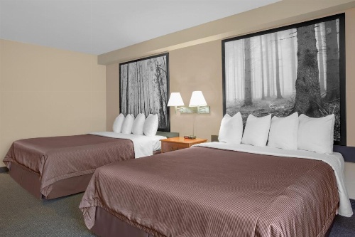 Super 8 by Wyndham Sault Ste Marie On image 8